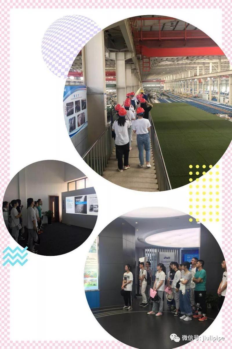 z6.com(中国区)官方网站